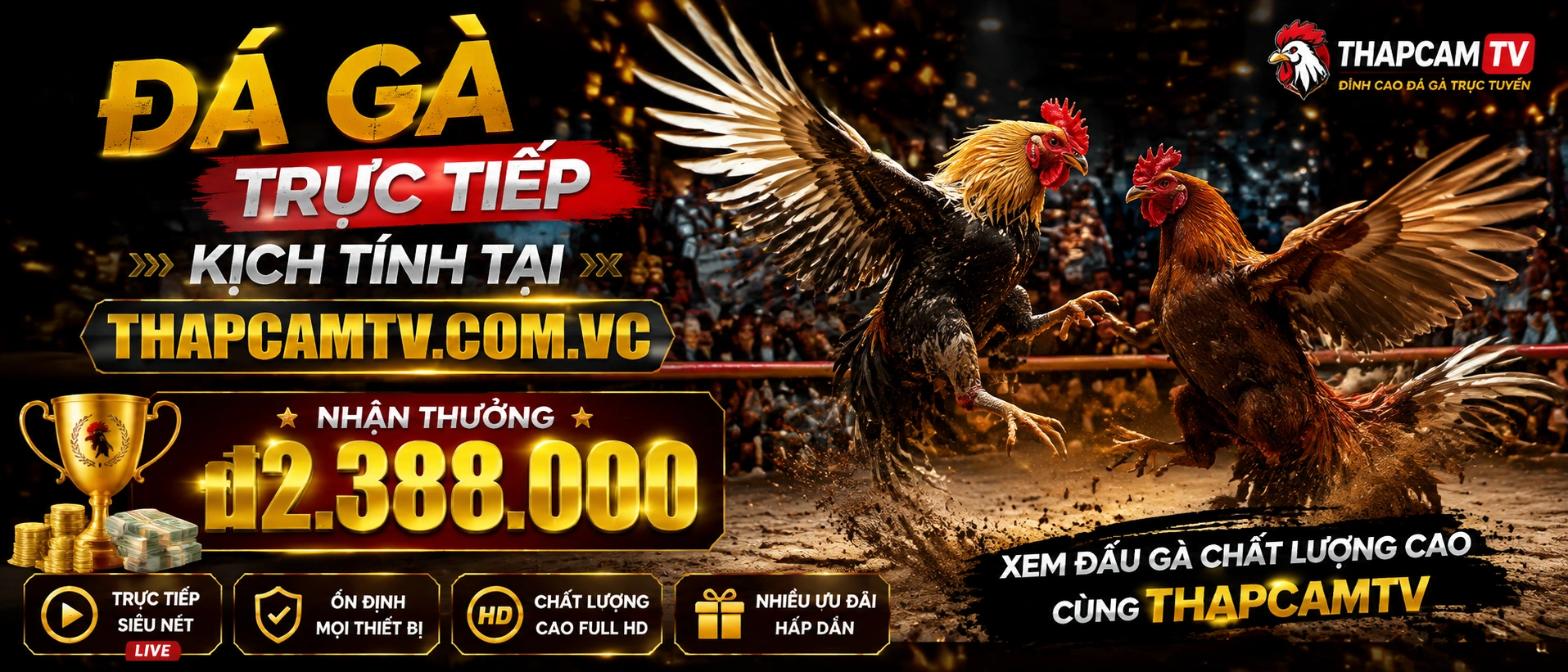 Người xem mở khu đá gà THAPCAMTV trên điện thoại