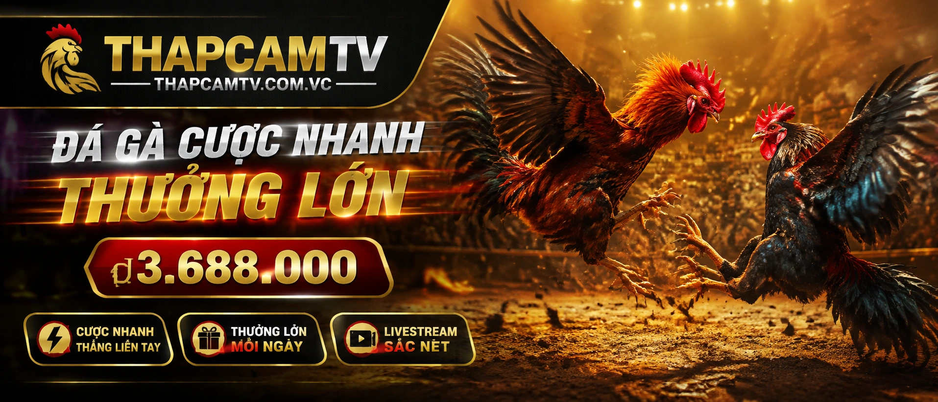 Danh mục đá gà Campuchia và cựa sắt trên giao diện THAPCAMTV